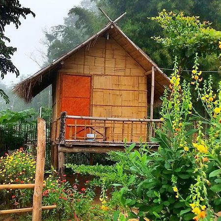 Baan Aingdoi Homestay, Chiang Dao Eksteriør billede