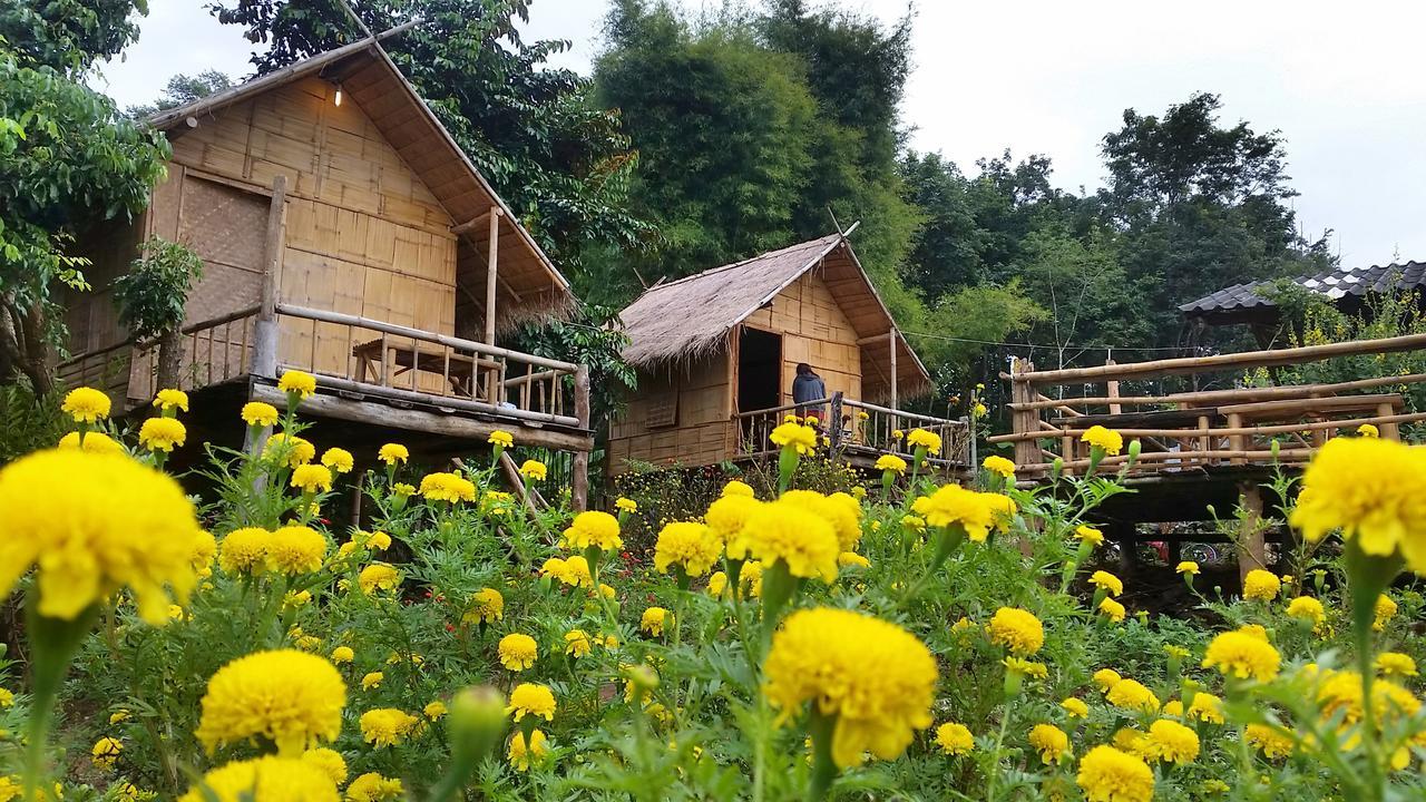 Baan Aingdoi Homestay, Chiang Dao Eksteriør billede