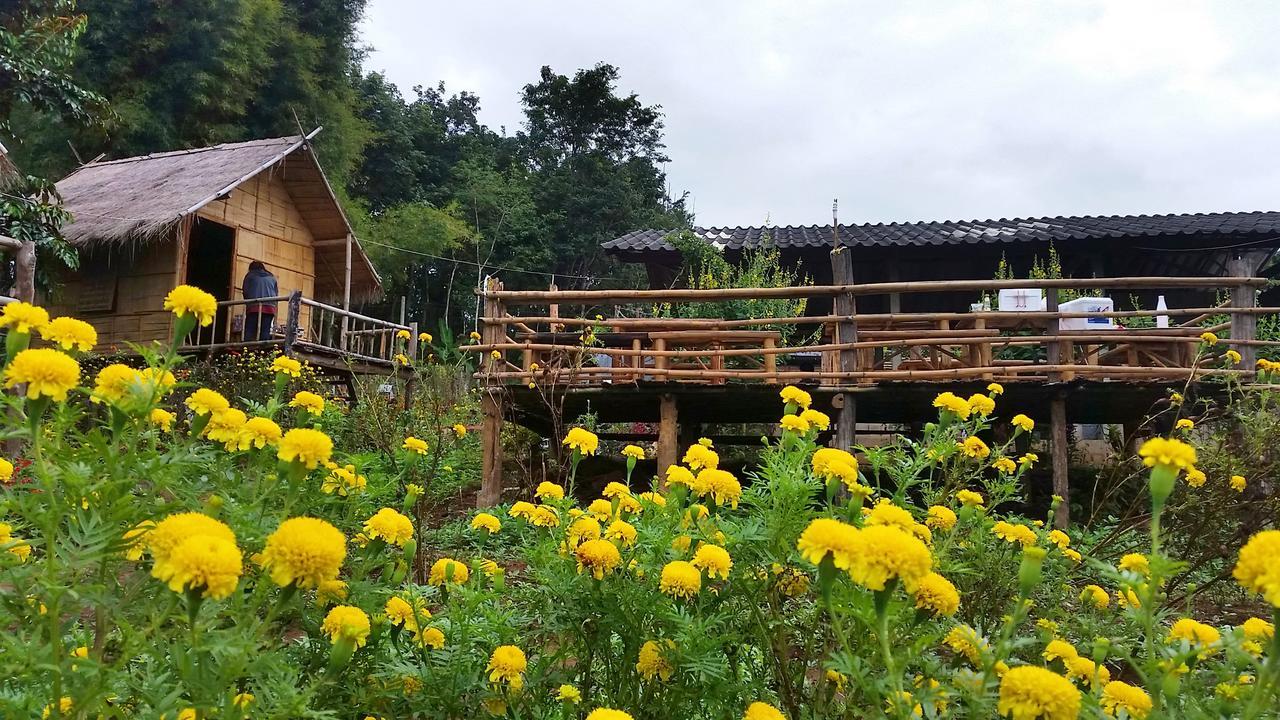 Baan Aingdoi Homestay, Chiang Dao Eksteriør billede