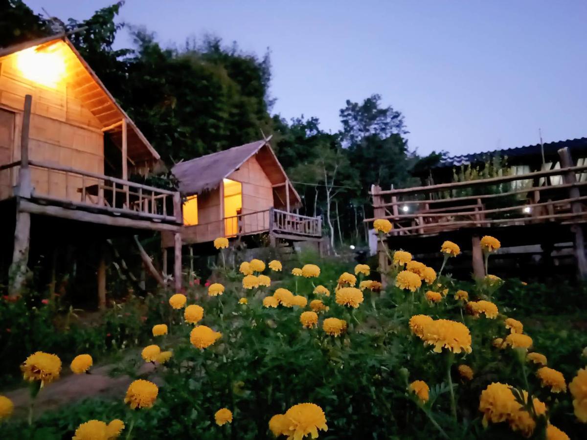Baan Aingdoi Homestay, Chiang Dao Eksteriør billede