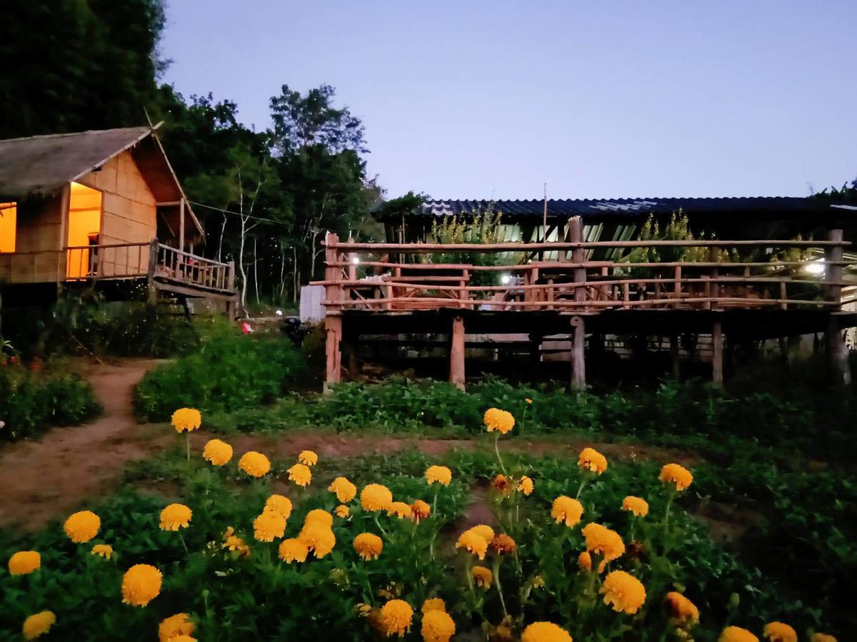 Baan Aingdoi Homestay, Chiang Dao Eksteriør billede