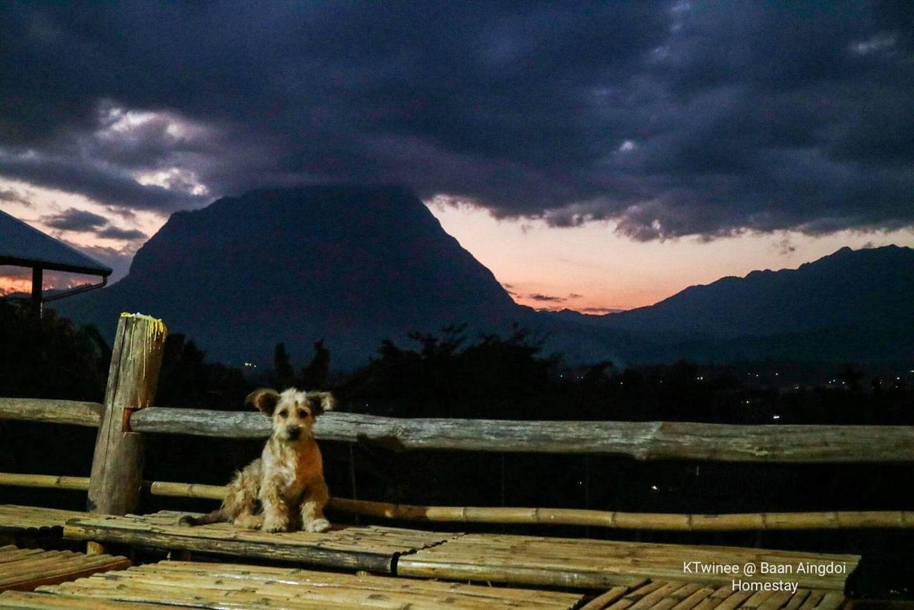 Baan Aingdoi Homestay, Chiang Dao Eksteriør billede