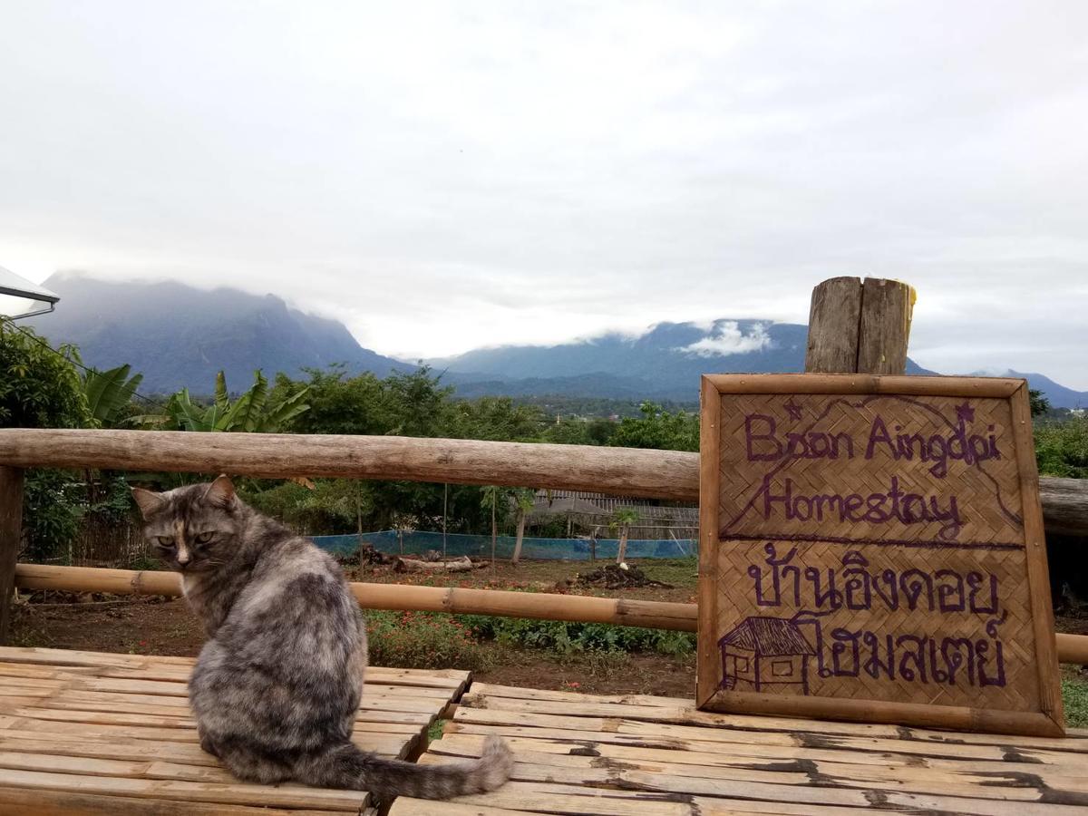 Baan Aingdoi Homestay, Chiang Dao Eksteriør billede