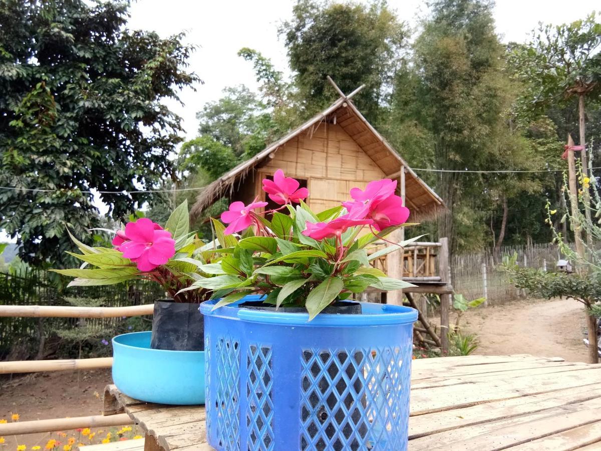 Baan Aingdoi Homestay, Chiang Dao Eksteriør billede