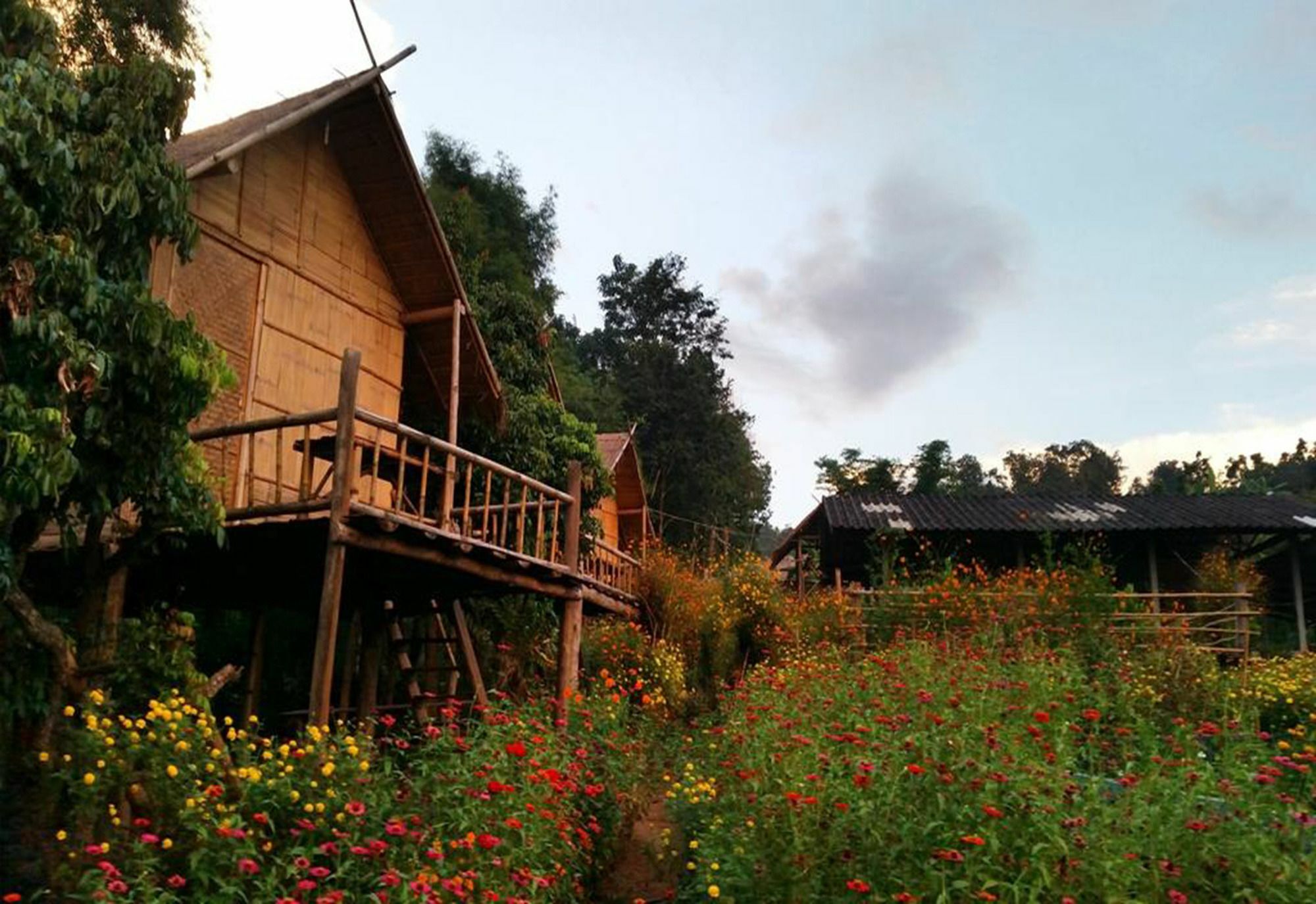 Baan Aingdoi Homestay, Chiang Dao Eksteriør billede