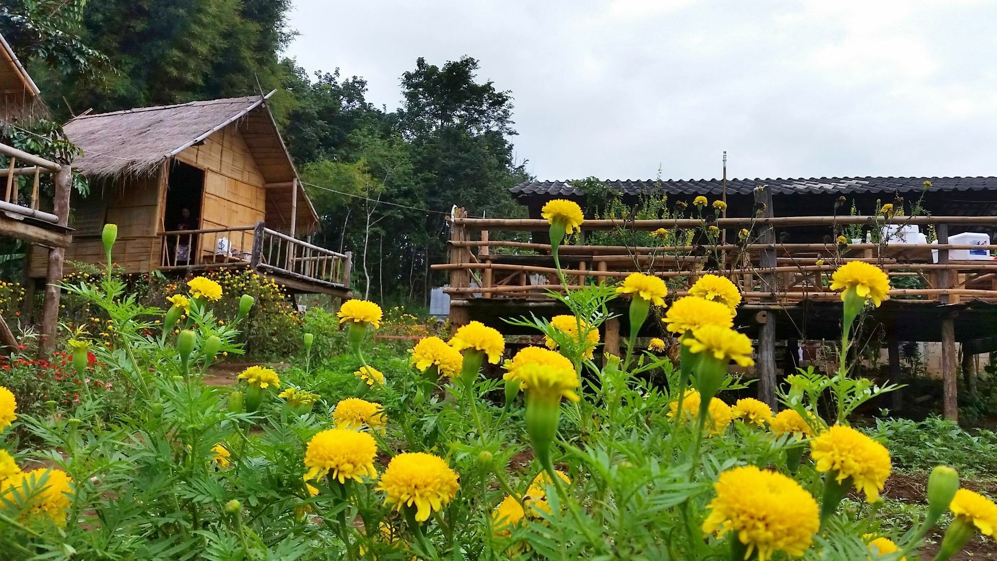 Baan Aingdoi Homestay, Chiang Dao Eksteriør billede