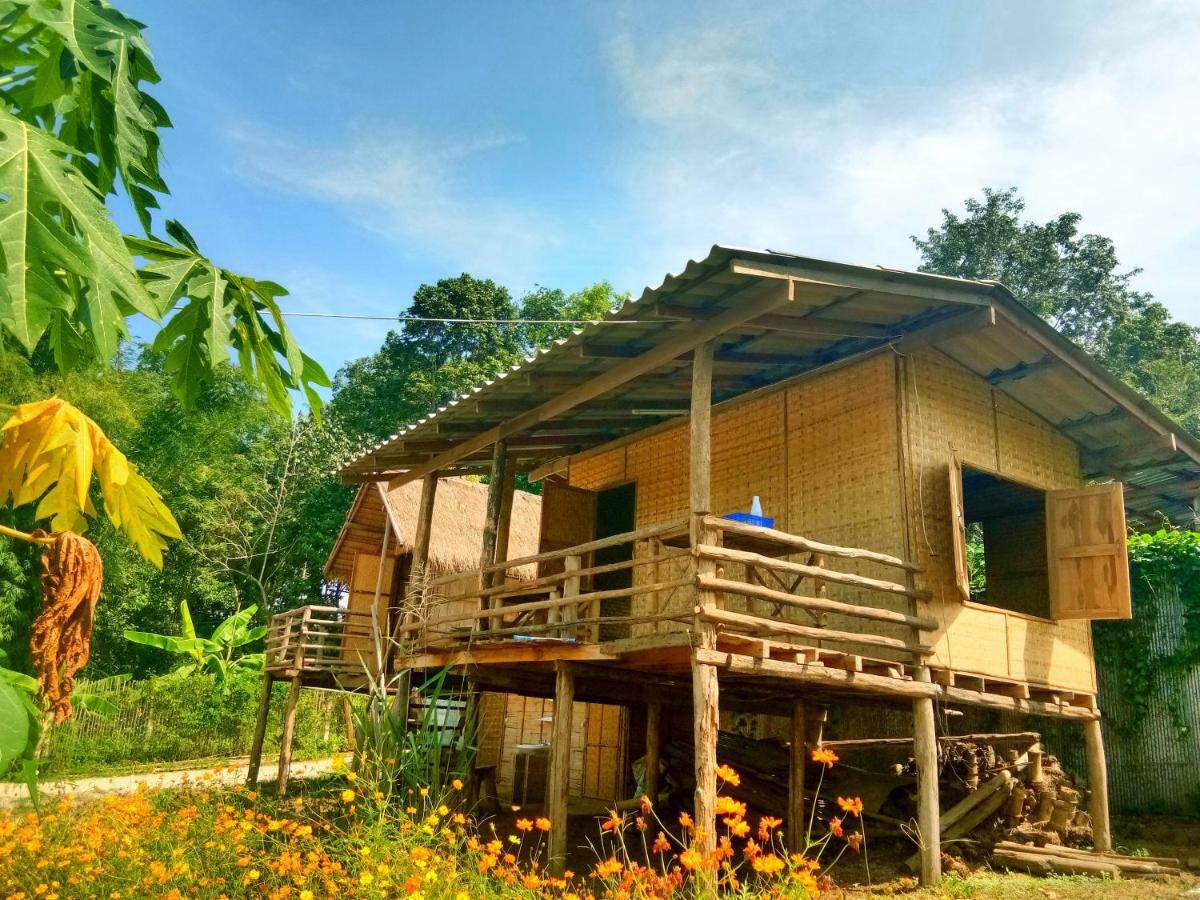 Baan Aingdoi Homestay, Chiang Dao Eksteriør billede