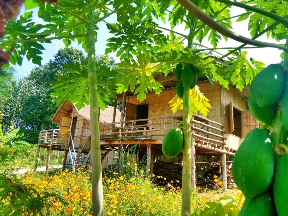 Baan Aingdoi Homestay, Chiang Dao Eksteriør billede