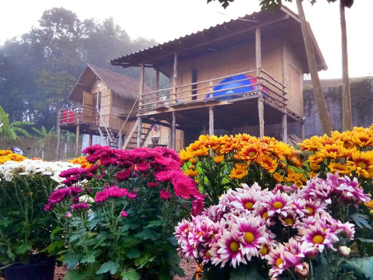 Baan Aingdoi Homestay, Chiang Dao Eksteriør billede