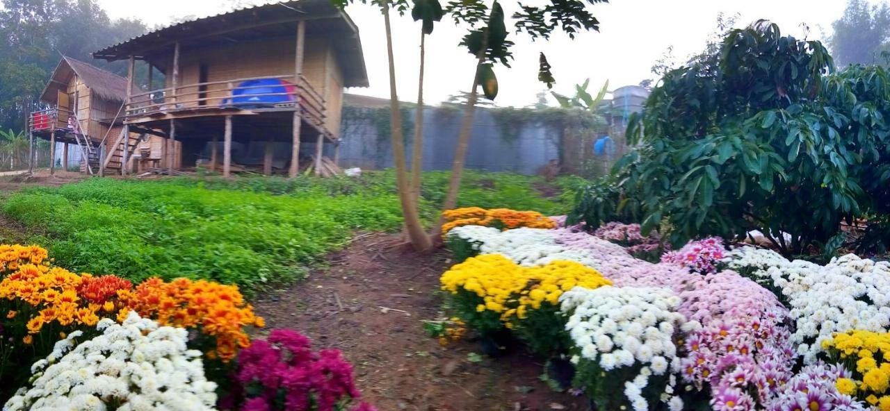 Baan Aingdoi Homestay, Chiang Dao Eksteriør billede
