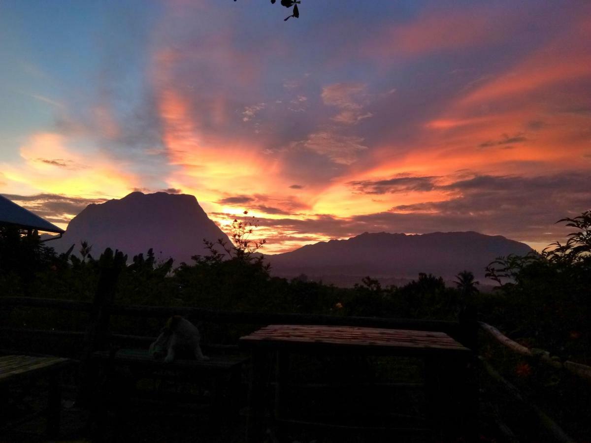 Baan Aingdoi Homestay, Chiang Dao Eksteriør billede