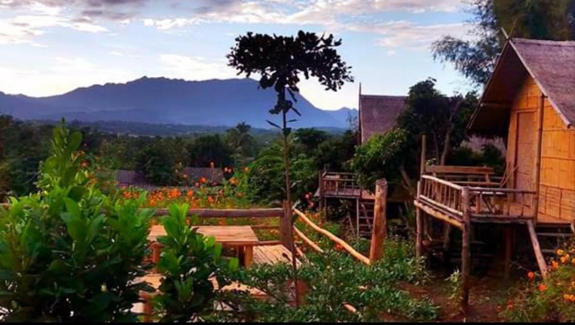 Baan Aingdoi Homestay, Chiang Dao Eksteriør billede