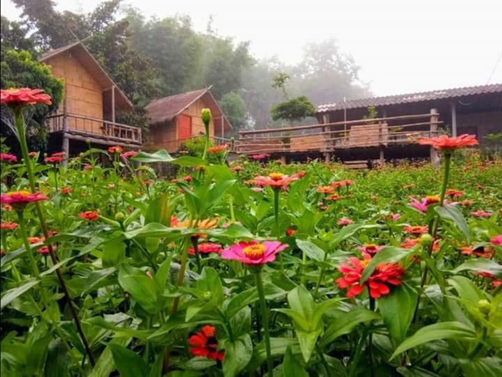 Baan Aingdoi Homestay, Chiang Dao Eksteriør billede