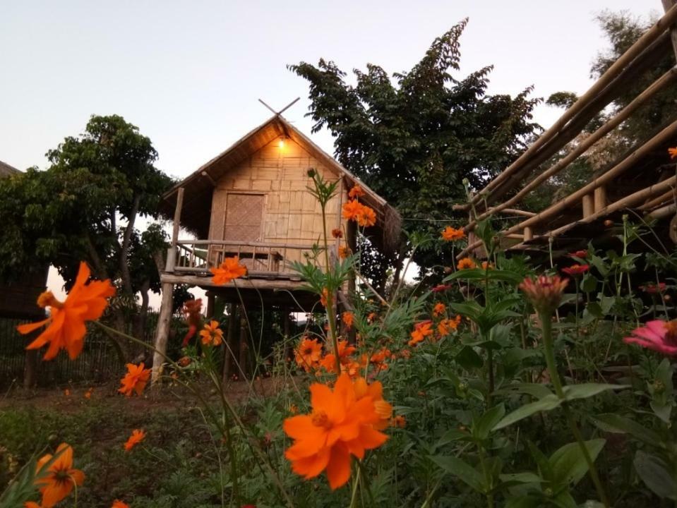 Baan Aingdoi Homestay, Chiang Dao Eksteriør billede
