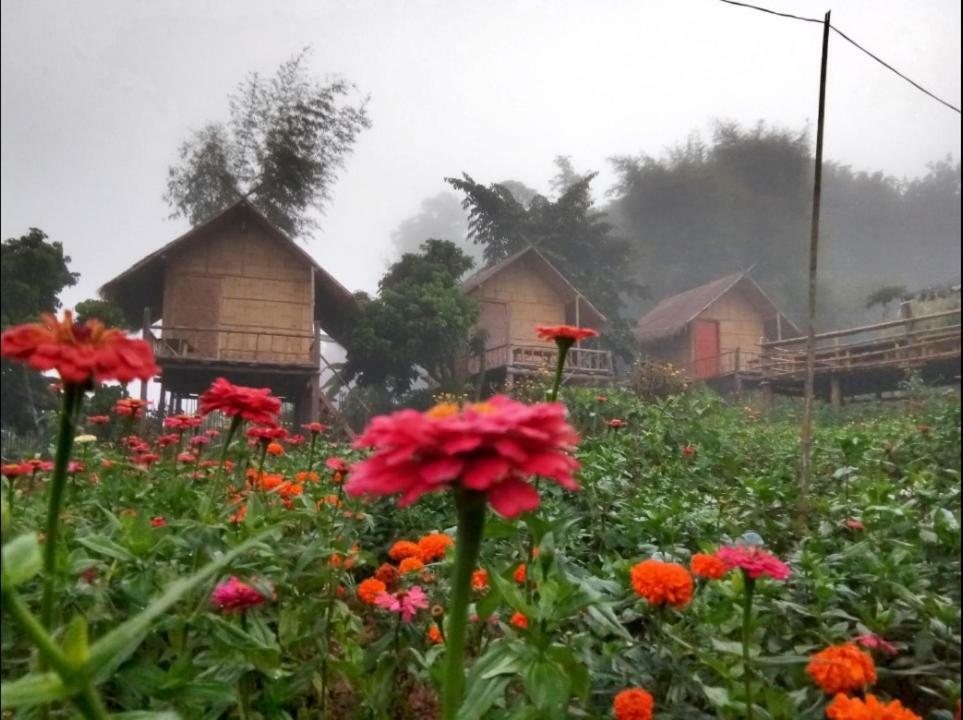 Baan Aingdoi Homestay, Chiang Dao Eksteriør billede
